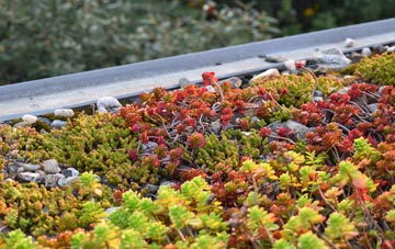 the cost of Stratton St Margaret green roof installation
