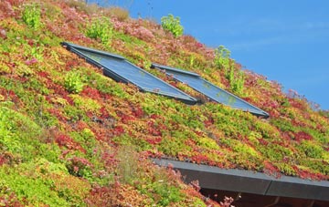 Stratton St Margaret living roof systems